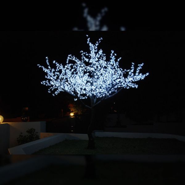 Blossom Tree 3.2m