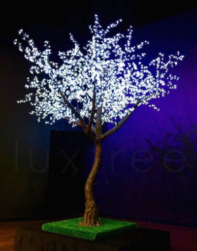 luxtree 3.2m blossom tree