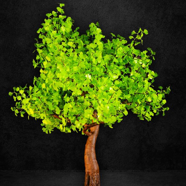 2.9-green-leaf-ginkgo-LED-tree