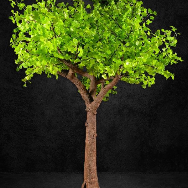Signature 4.3m green Gingko leaf with super realistic trunk