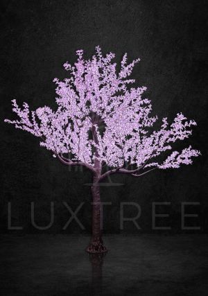 Giant 5m Maple Tree RGBW