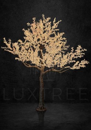 Giant 5m Maple Tree RGBW