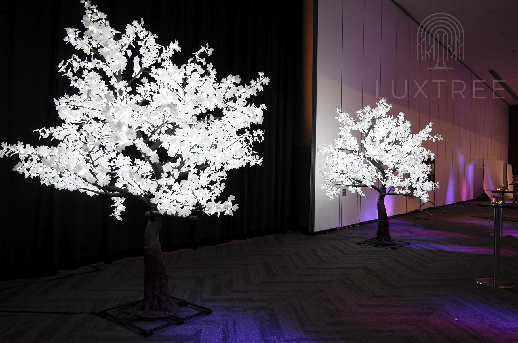 Event Hire - Luxtree